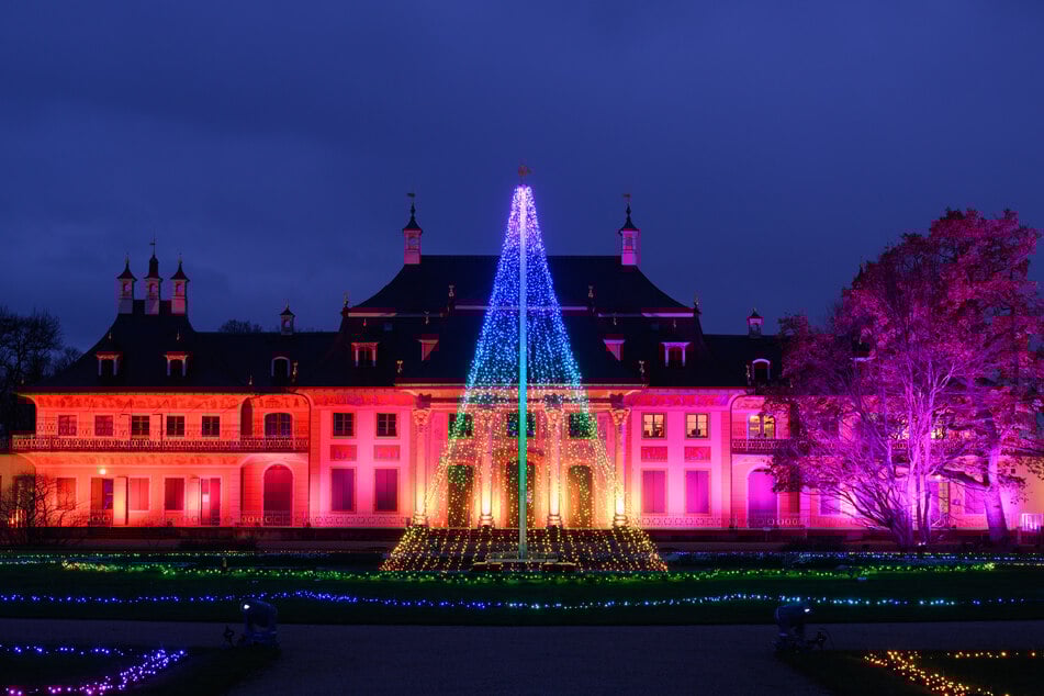 Im Schlosspark Pillnitz sorgt der Christmas Garden mit Tausenden Lichtern für magische Winterstimmung.