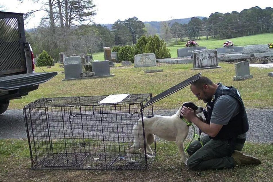 Mit viel Geduld und einem gewissen Fingerspitzengefühl konnten die Mitarbeiter des Tierheims das Vertrauen der Fellnasen für sich gewinnen.