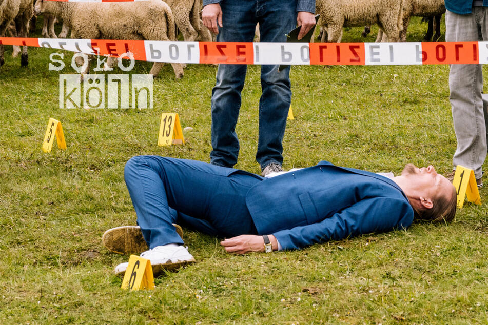 Düsseldorfer Escort-Chef in Köln erschossen: Leiche liegt auf Schafweide