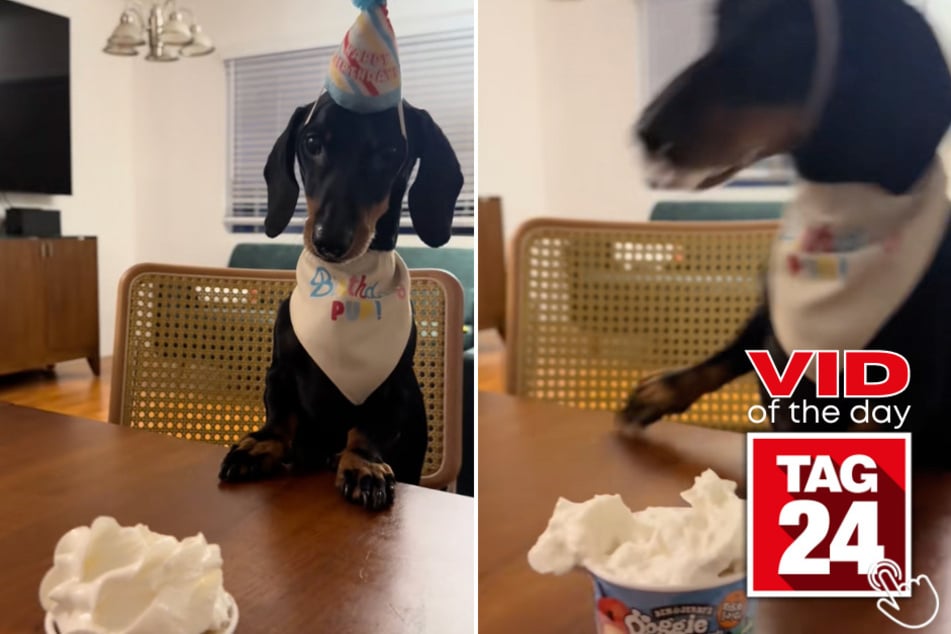 Birthday boy Zeke was living his best life... until one wrong scoot sent him tumbling off the chair!