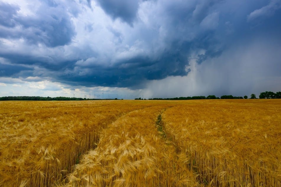 Trotz dichter Wolkendecke steigen die Temperaturen in Nordrhein-Westfalen zum Ende der Woche wieder deutlich an. (Symbolbild)