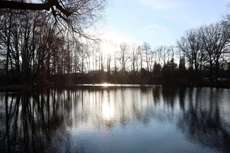 Der Ziegeleiteichgraben zwischen Flughafen und A4 gilt als besonders schadstoffbelastet.