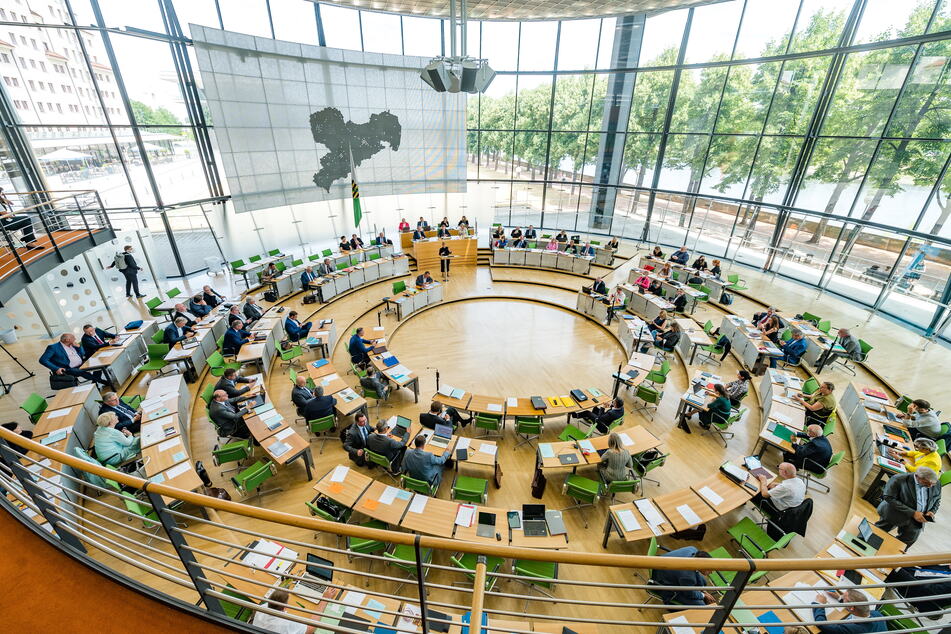 Der Landtag diskutiert am heutigen Donnerstag über die freilaufenden Vierbeiner.