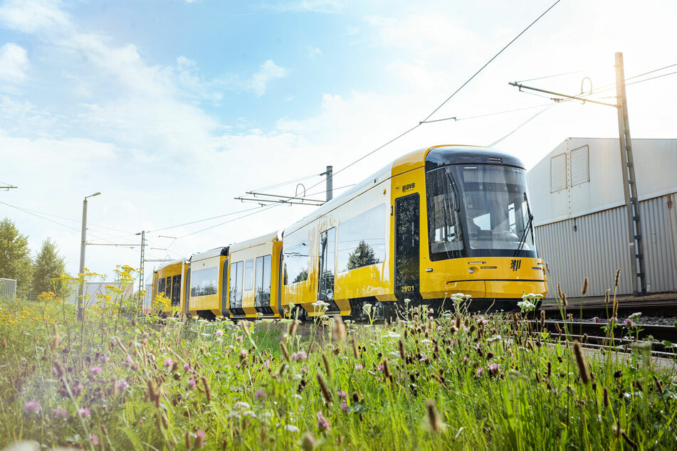In Dresden wird ab sofort eine neue Straßenbahn fahren. Passagiere dürfen aber erst nächstes Jahr zusteigen.