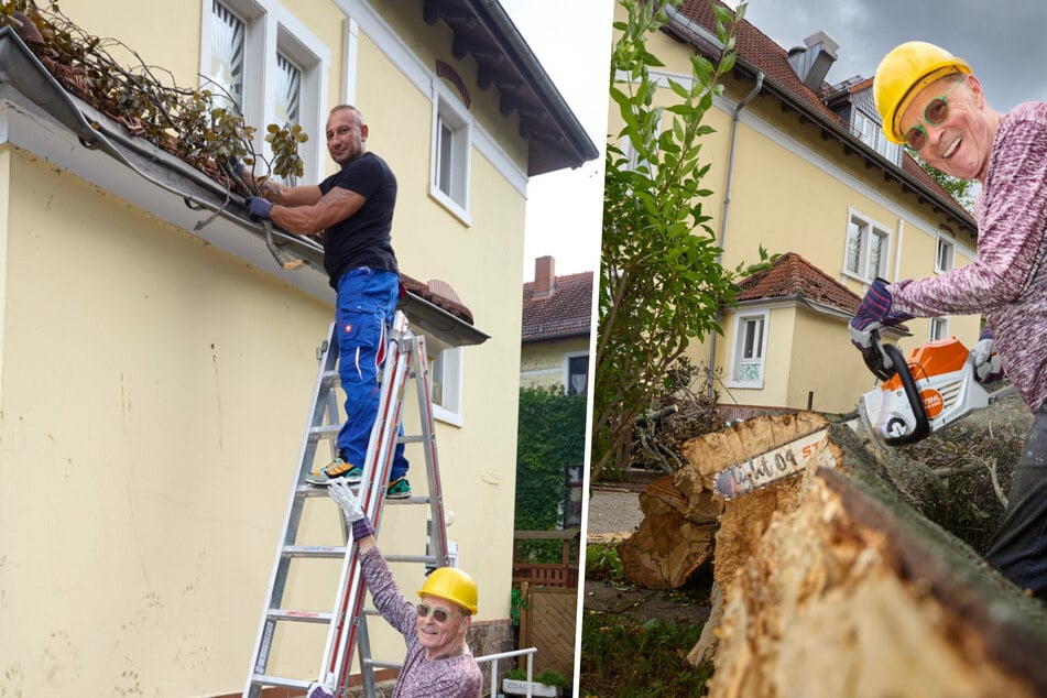 Wolles Freund Marco Goselwitz (42) packte auf der Leiter mit an. Auch die Party-Legende selbst war nicht untätig, griff selbst zur Kettensäge.