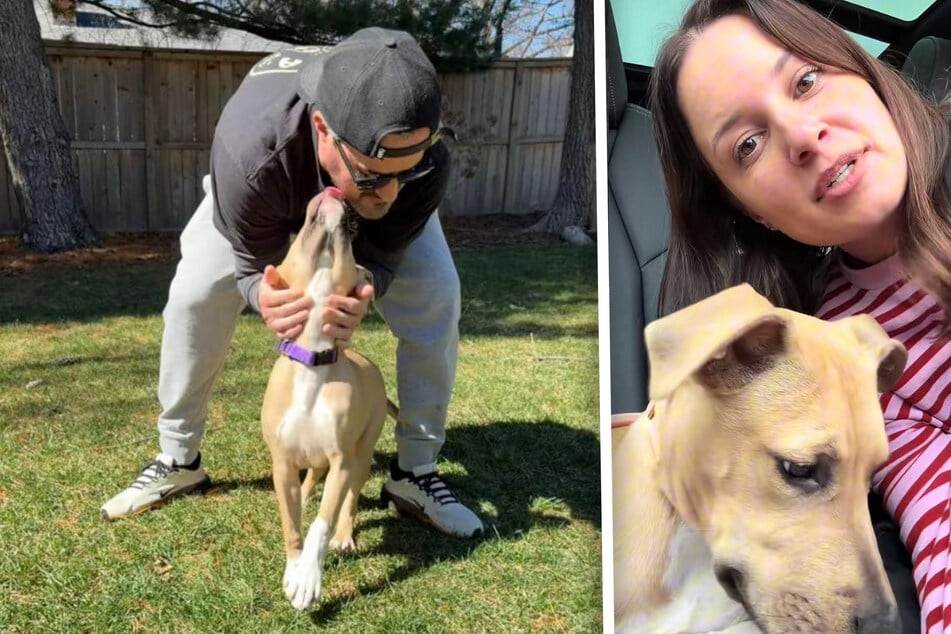 Nach Verlust ihres geliebten Tieres: Pflegehund Sunny stellt das Leben einer Familie auf den Kopf