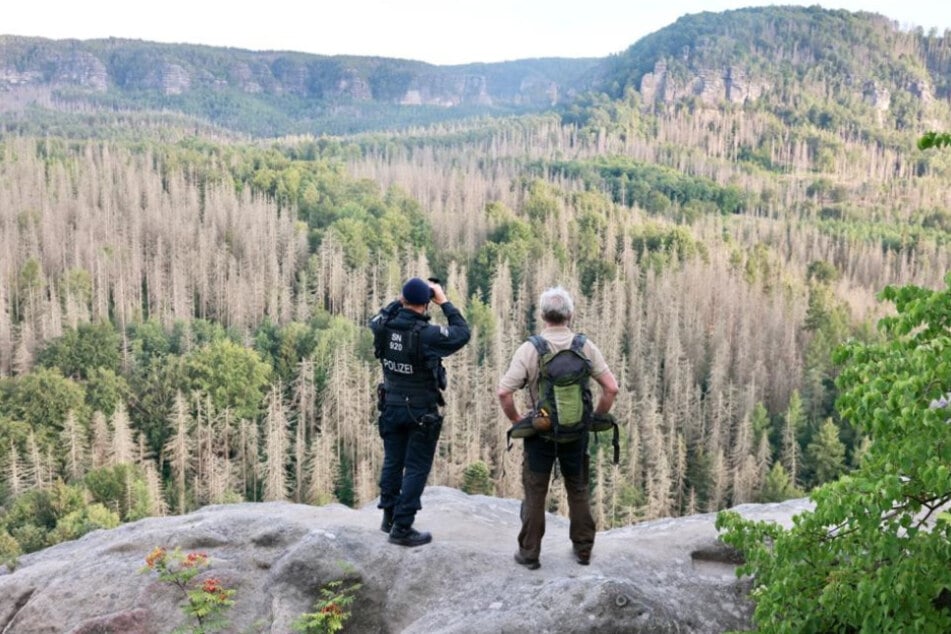 Die beiden Einsatzchefs haben die Weiten des Nationalparks gut im Blick.