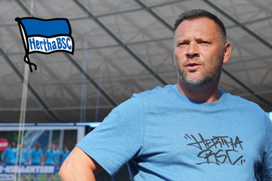 Hertha BSC: Coach Pal Dardai gibt düstere Aufstiegsprognose ab