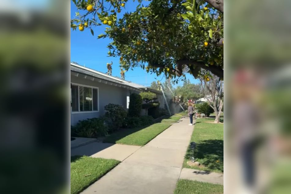 Auf Facebook teilte die Feuerwehr ein Video der Löschaktion.