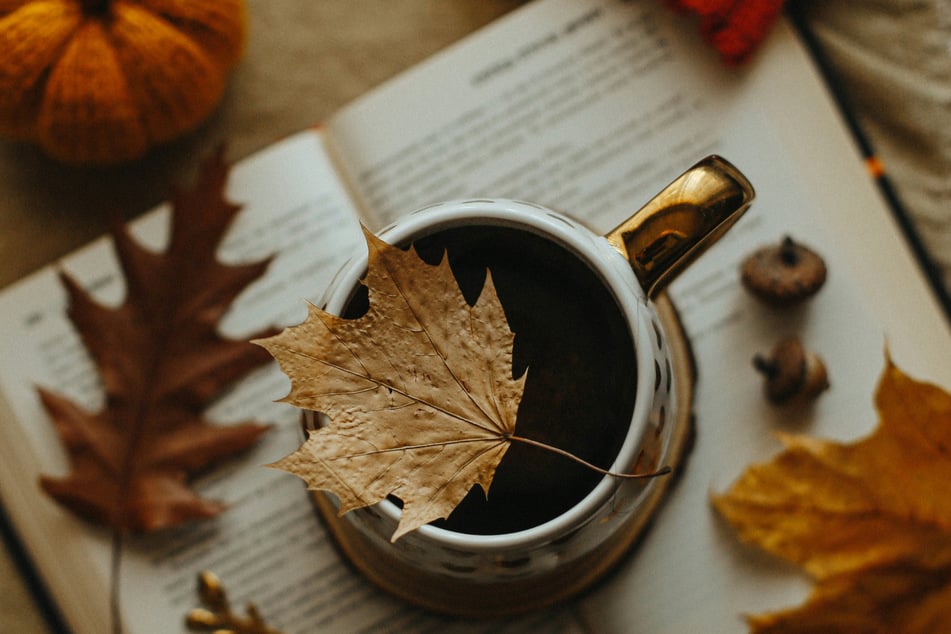 November 2025 welcomes new books from authors like Travis Baldree and E. Lockhart.