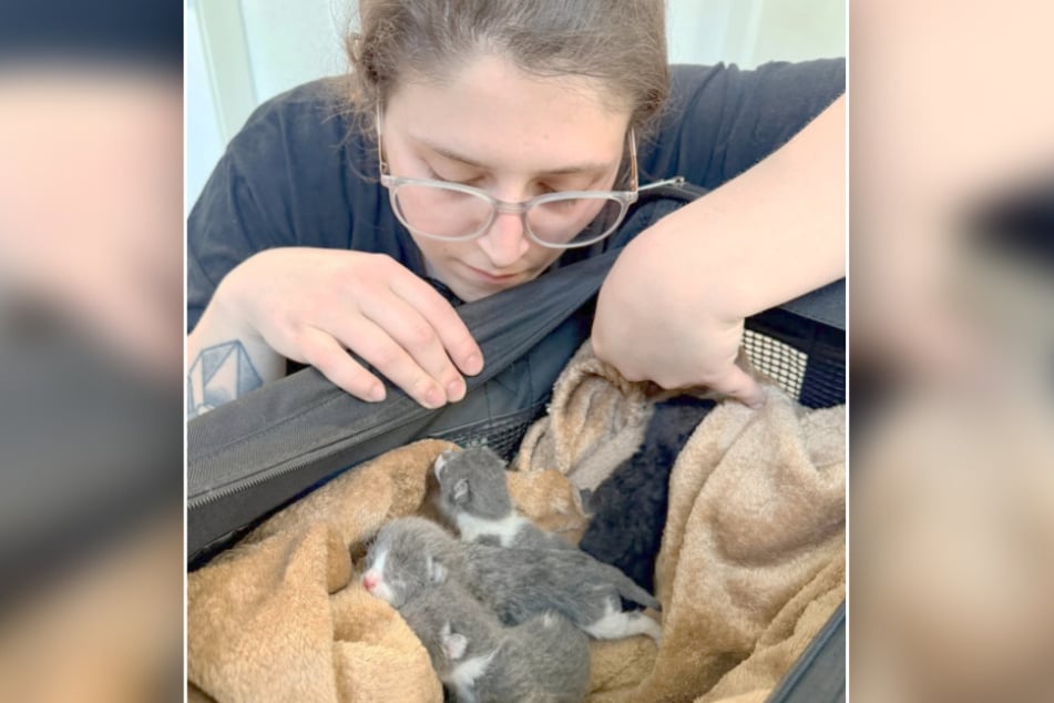 Die kleinen grauen Winzlinge haben schon jede Menge Trubel miterlebt.