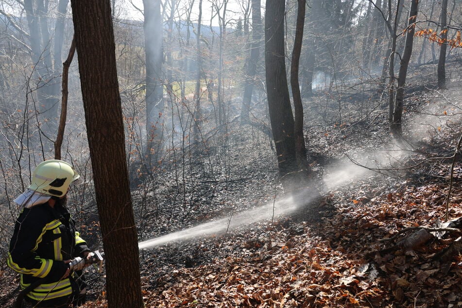 In Lauter-Bernsbach war am Freitag auf etwa 3200 Quadratmetern ein Waldbrand ausgebrochen.