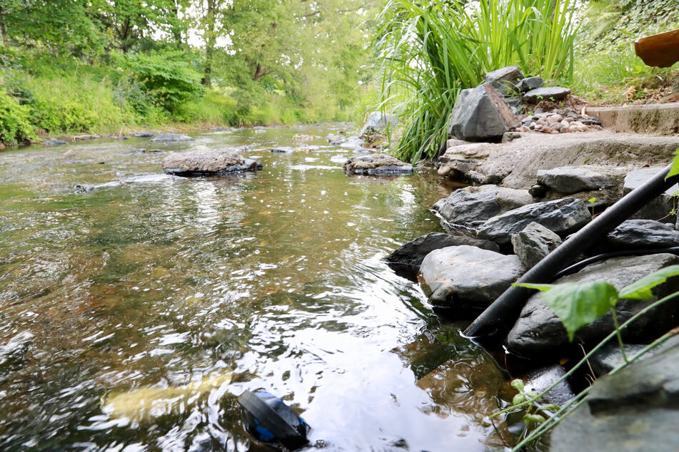 Unsere Bäche und Flüsse drohen auszutrocknen. Der Landkreis Zwickau verbietet jetzt das Abpumpen von Wasser.