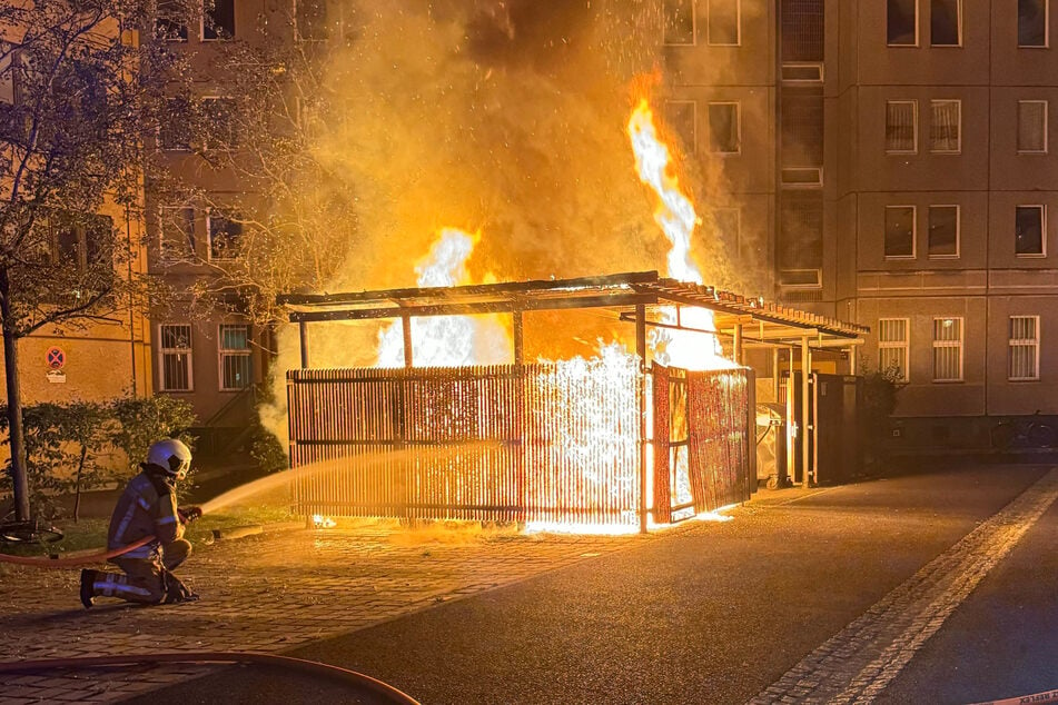 Mitten in der Nacht standen an der Königsbrücker Straße plötzlich fünf Mülltonnen in Flammen.