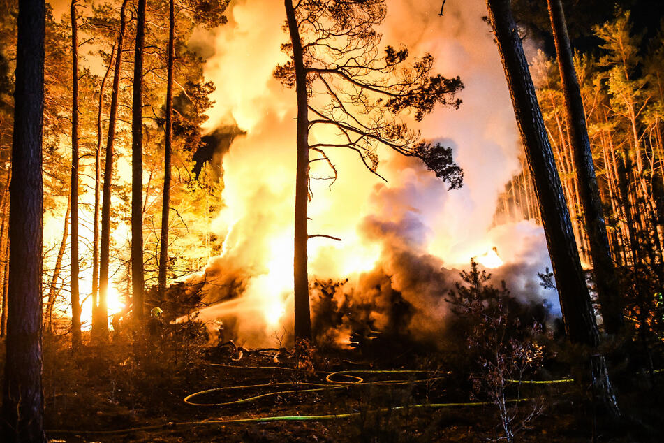 Gegen 6.30 Uhr konnte die Feuerwehr Entwarnung geben.