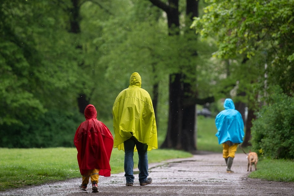 Bei einem leichten Regen hilft ein Regenschutz, ...