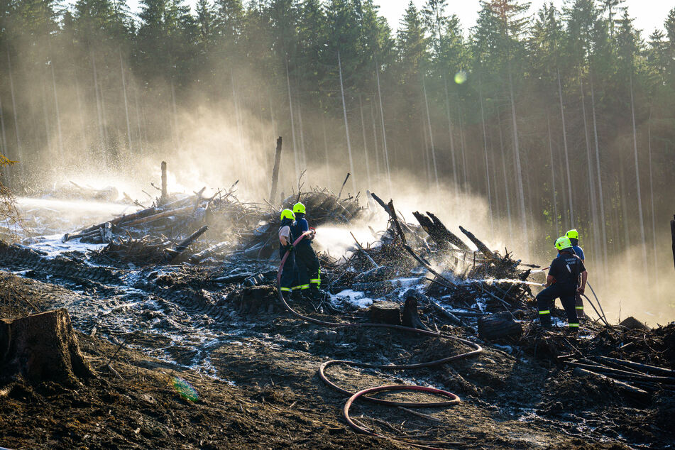 Waldbrand im Erzgebirge: Flammen lodern erneut auf
