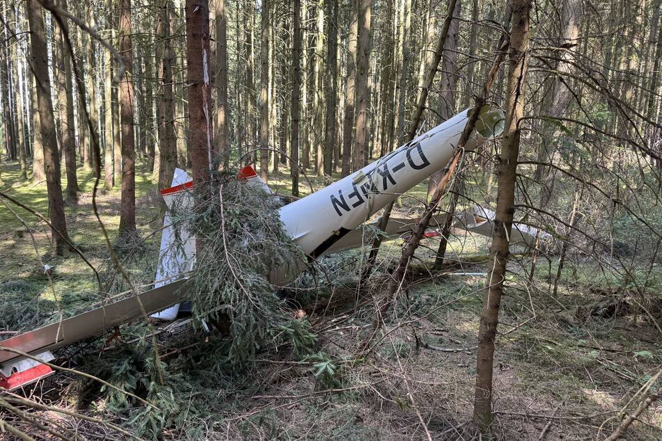 Das Segelflugzeug wurde im Wald gefunden.