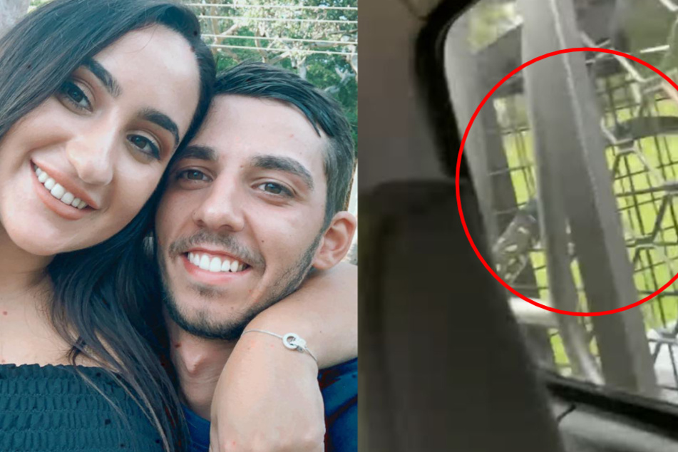 Links: Rachael Pace und ihr Freund Kyle Vella konnten am Ende wieder lachen. Rechts: Die Schlange hing auf der Ladefläche in einem Käfig.