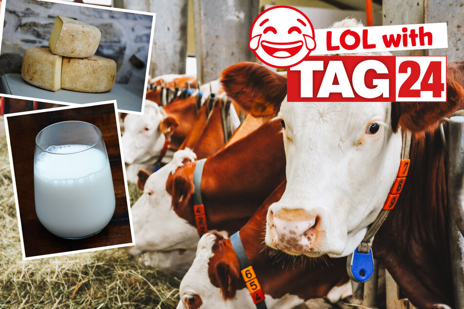 Today's Joke of the Day features some dairy with your funny!