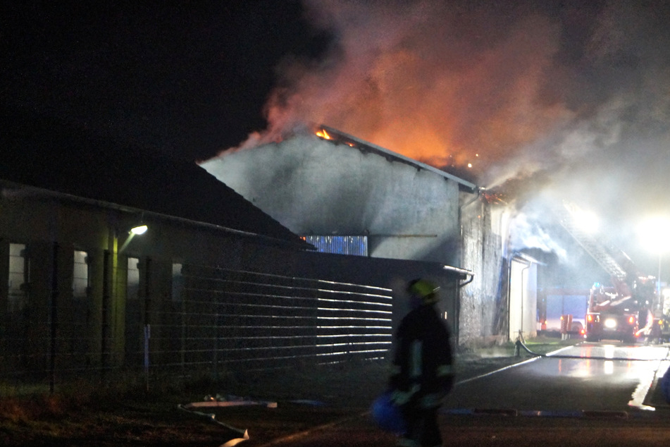 Lagerhalle von Obsthof in Sachsen-Anhalt in Flammen: Hunderttausende Euro Schaden!