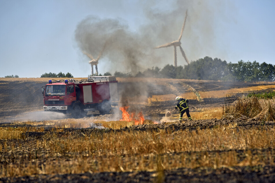 Mit zunehmender Erderhitzung kommen auch mehr Wald- und Feldbrände auf Sachsen zu.