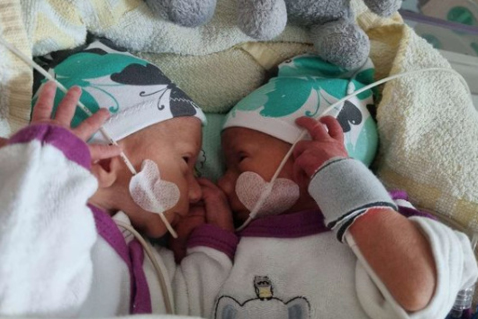 Emory und Casey sind der ganze Stolz von Mama Sarafina und Papa Peter Wollny (28).