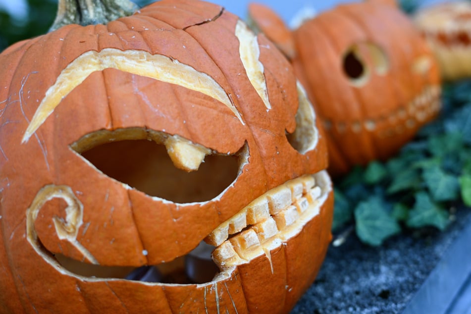 Von Maislabyrinth in der Nacht bis zur gruseligen Stadtführung wird in Hessen so einiges zu Halloween geboten. (Symbolbild)