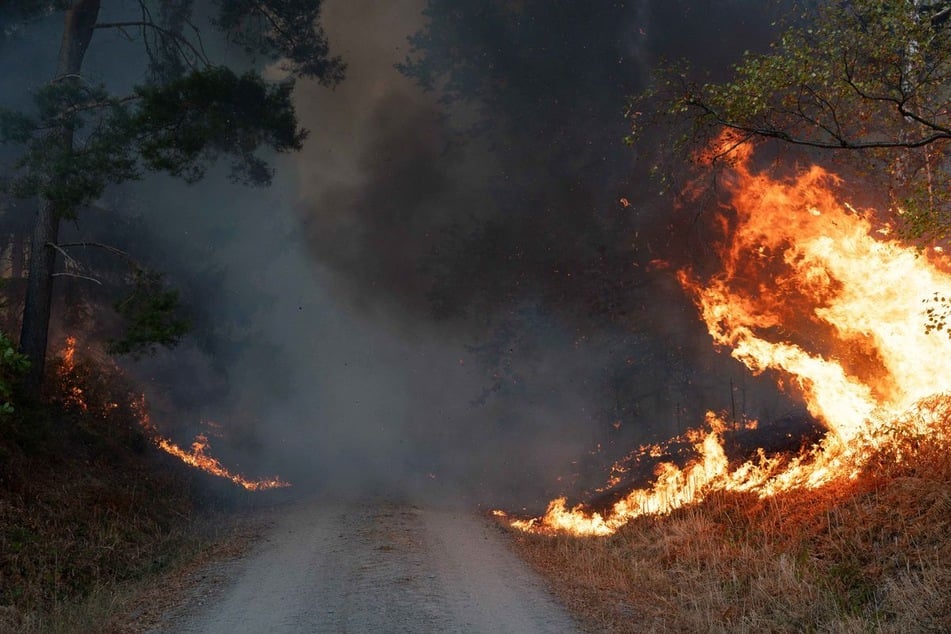 In der Gemeinde Hürtgenwald brennen seit Donnerstagnachmittag 25 Hektar Wald.