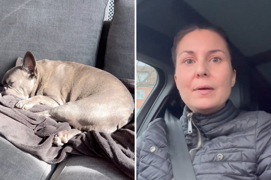 Vanessa Blumhagen (46) wollte mit Hündin "Enna" in eine Hundekita. Als sie den Preis erfuhr, wäre sie jedoch "fast tot umgefallen".