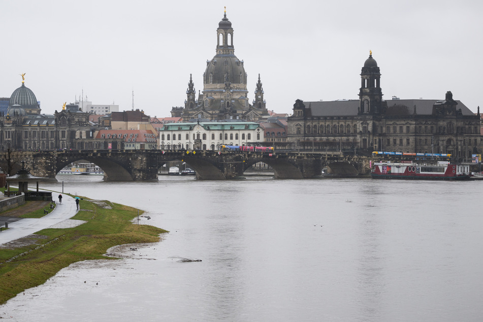 Hochwasser in Dresden: Nachrichten zur aktuellen Lage und der Auswirkungen auf Stadt und Verkehr hier im Überblick.