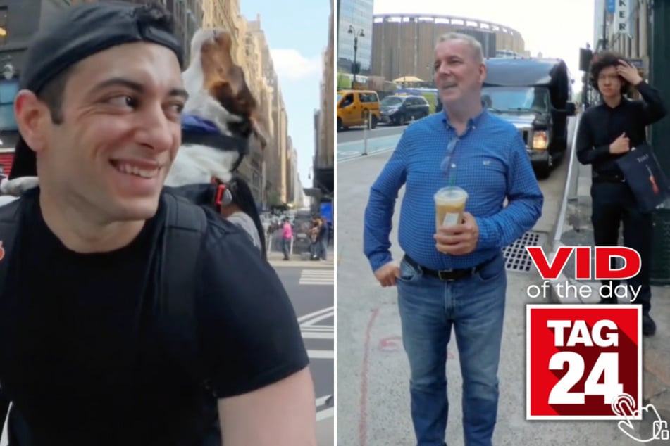 Today's Viral Video of the Day features a man and his "siren" dog on the streets of New York City!