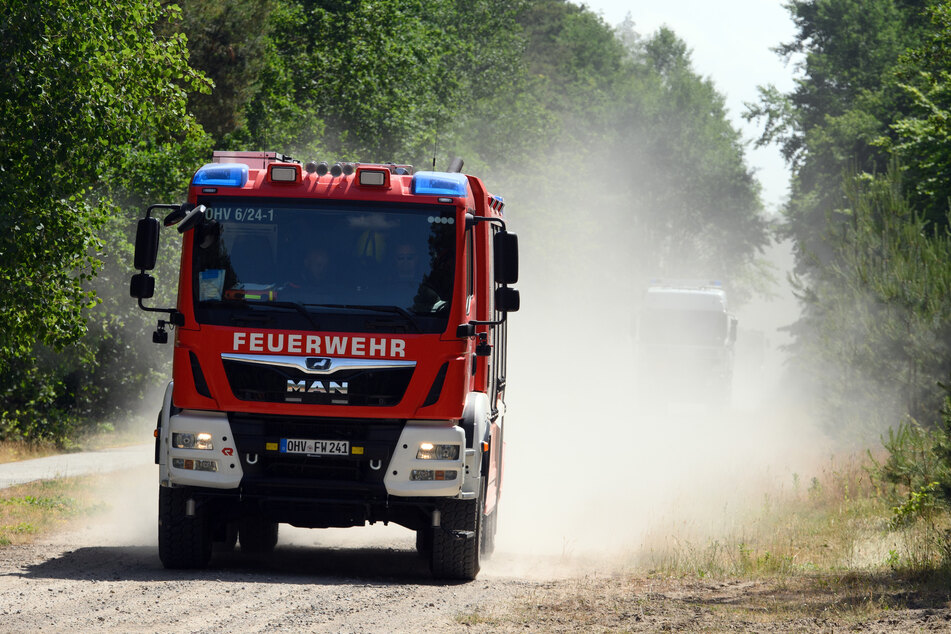 Fachkundige Feuerwehrleute befreiten schließlich die Natter. (Symbolbild)