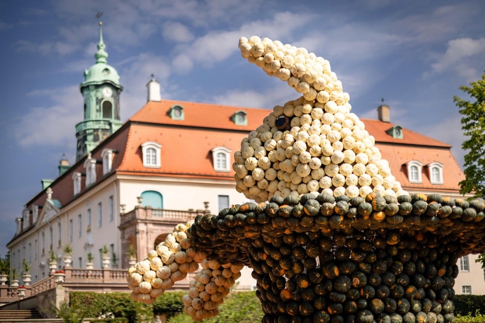 Der Hase, der aus einem Zylinder schaut, ist eine der 18 Skulpturen des Kürbisfestivals.