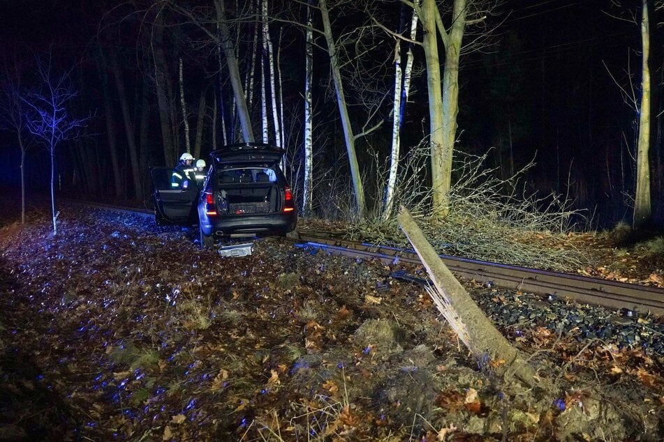Der umgestürzte Baum blieb neben dem Wagen liegen.