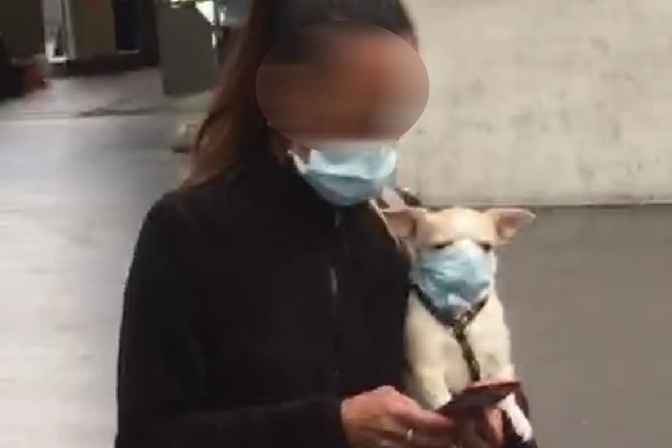 Auf dem Hauptbahnhof in Zürich entdeckte ein Passant diese Frau und ihren Hund. Beide trugen eine Mund-Nase-Maske.