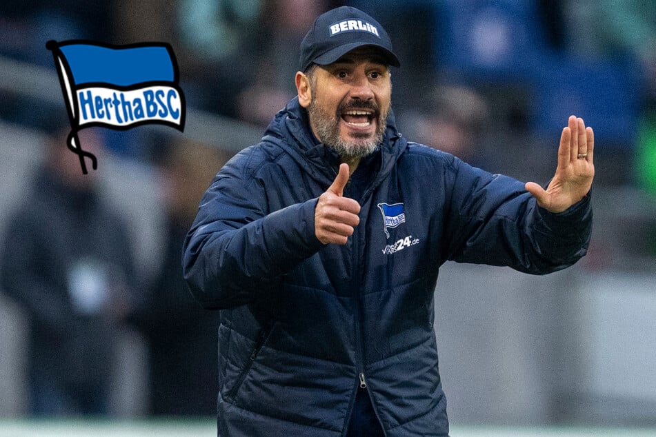 Machtwort von Hertha-Boss: Trainer-Entscheidung um Fiél gefallen