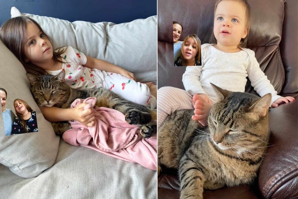 According to the video, the kiddo had a simple touching reason for wanting the cat to join her at dance class: "He's my best friend!"