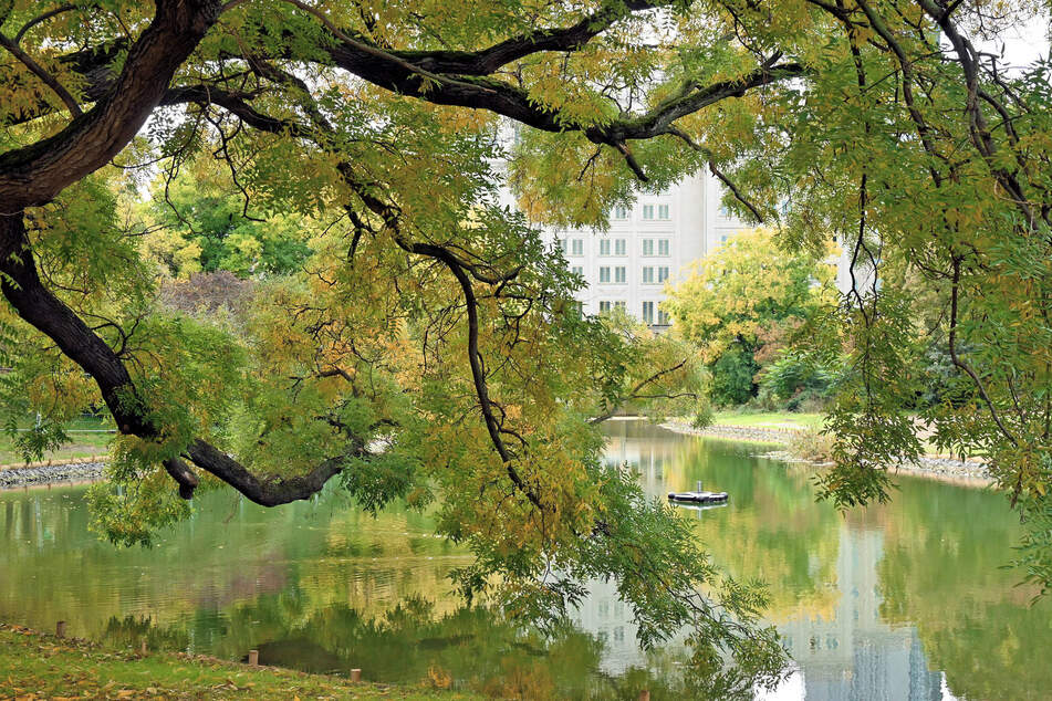 Vom Ekel-Tümpel zum Großstadt-Idyll: Leipzigs Schwanenteich.