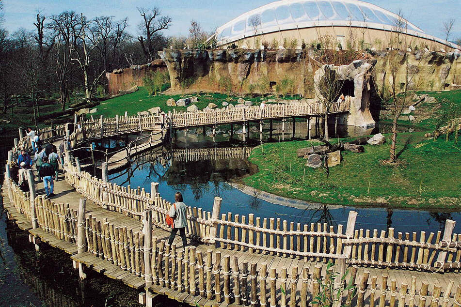 Vor 25 Jahren öffnete das Pongoland seine Pforten.