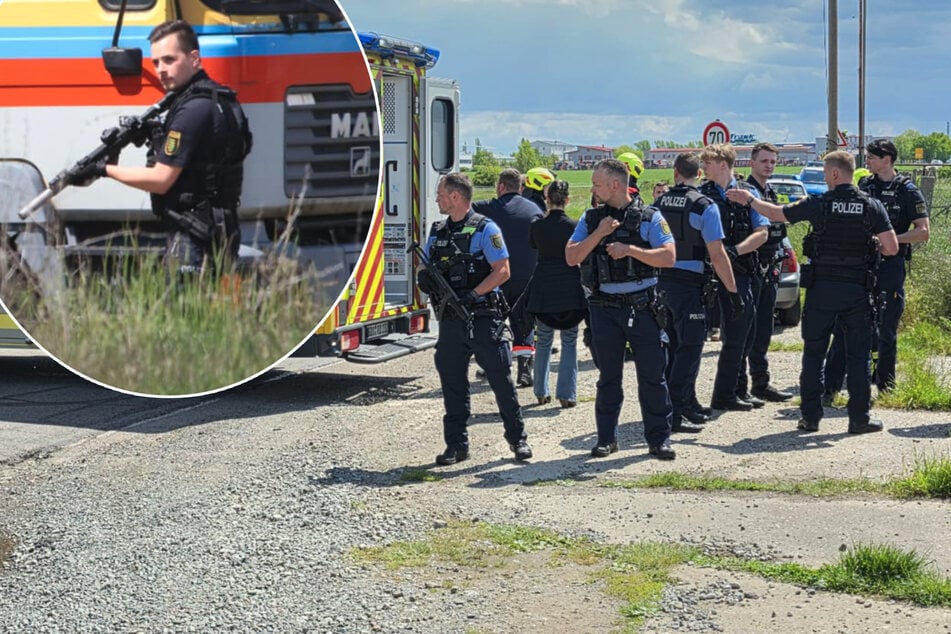 Leipzig: Tigerangriff im Leipziger Westen! Mann verletzt, ein Tier erschossen