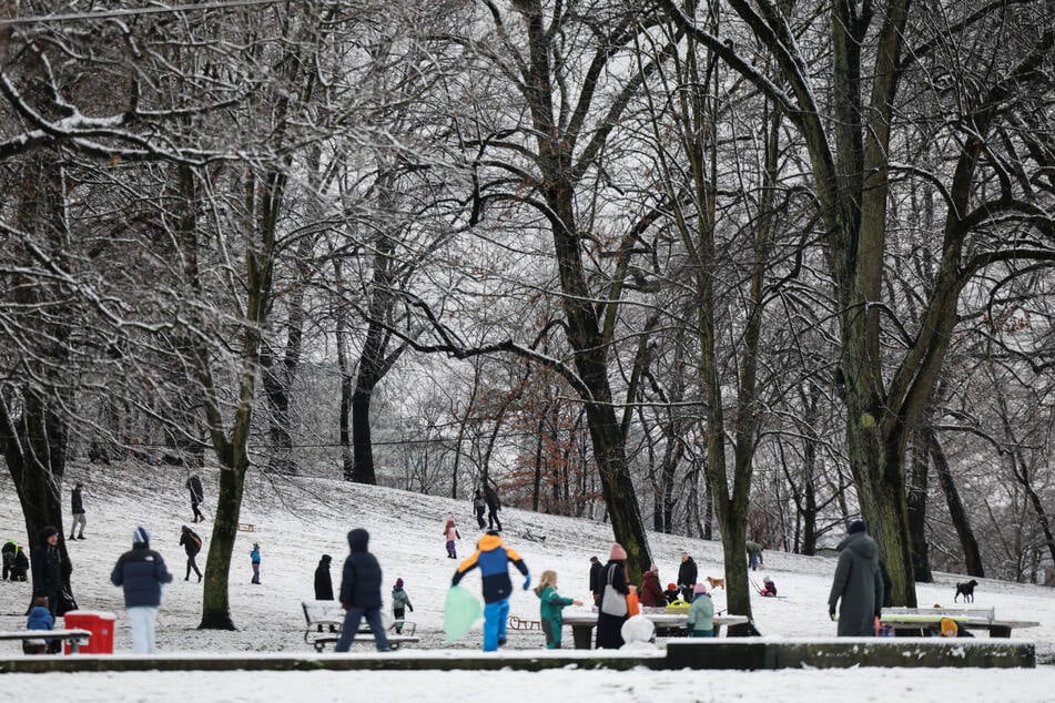 Kaum lag am Freitag etwas Schnee in Hamburg, wurden die Schlitten rausgeholt.