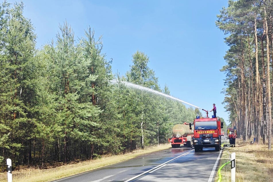 In Brandenburg kommt die Feuerwehr aktuell mit dem Löschen kaum hinterher.