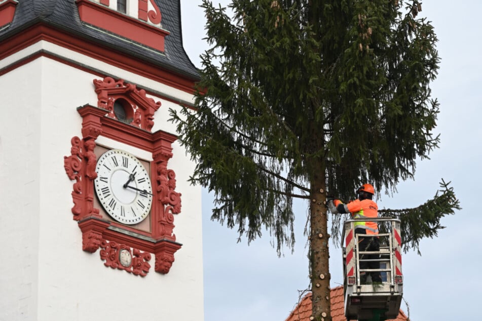 André Landgraf (37) schnitt die Äste vom Weihnachtsbaum auf dem Markt ab und zerlegte den Stamm.