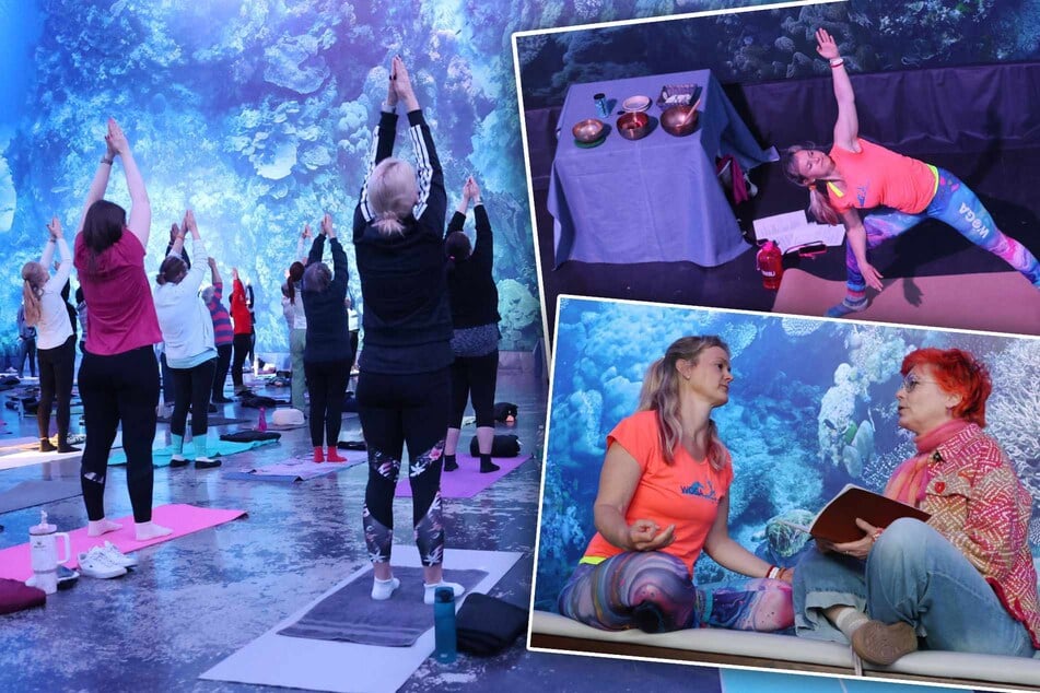 Dresden: Namaste! Trainerin bittet zur Yoga-Premiere am Meeresgrund