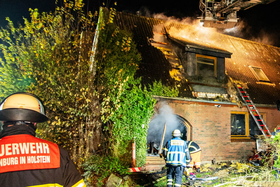 Doppelhaushälfte in Flammen! 72-Jähriger verletzt, zwei Hunde tot