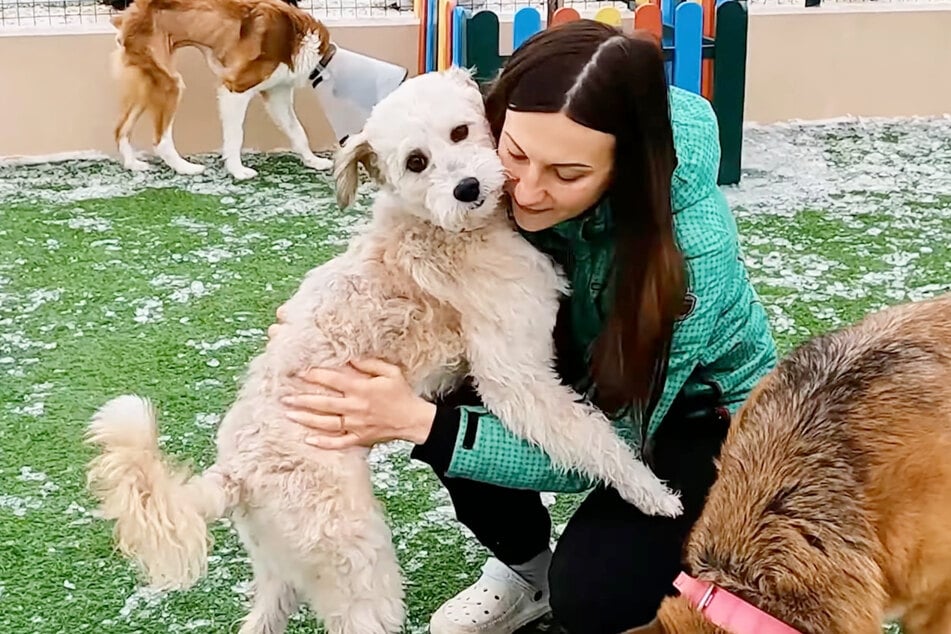 Wahnsinn: In neuen Aufnahmen von Greys wird klar, wie weiß ihr Fell in Wahrheit ist.