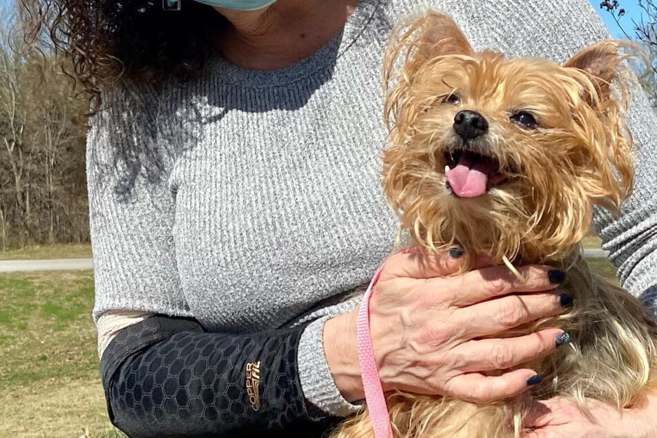 Hund wird vor den Augen seiner Besitzerin gestohlen: 13 Jahre später trifft sie der Schlag