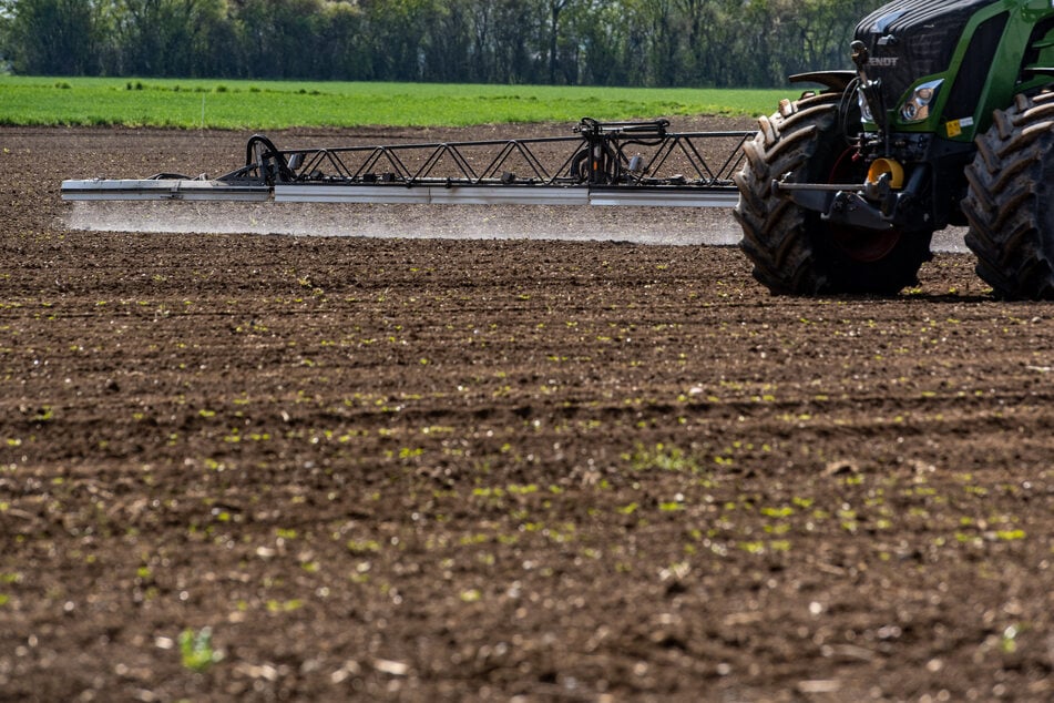 Pesticides are mainly used as a preventative measure against pests in agriculture.