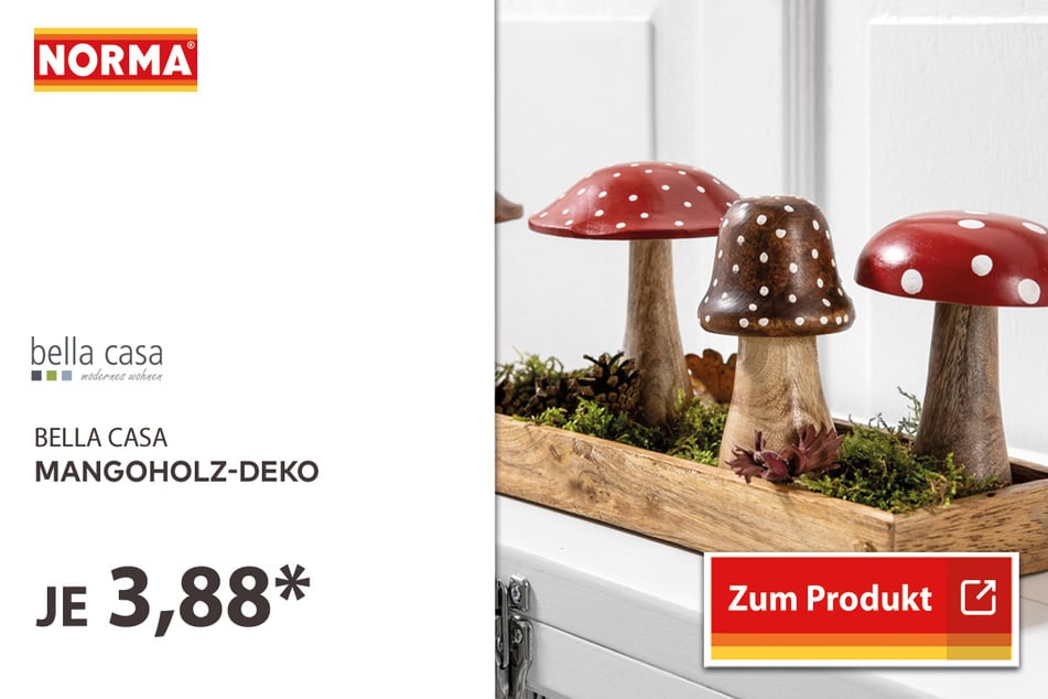 Mangoholz-Deko für 3,88 Euro.
